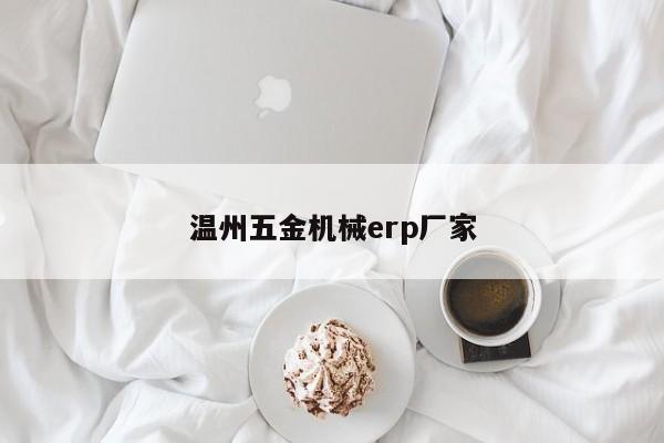 温州五金机械erp厂家